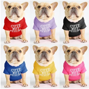 "Roztomilý, ale psychopatický" bavlnený oblek pre psa, modrý - XL