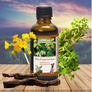 Expectorant bio bylinný sirup – proti suchému kašľu a psincovému kašľu, 50 ml – PerNaturam