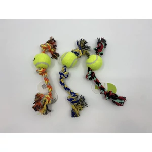 Farebná hra so psím lanom a tenisovou loptičkou