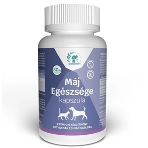 Kapsula pre zdravie pečene – komplex na ochranu pečene, obličiek a žlčníka pre psov a mačky, 30 kapsúl – PETAMIN