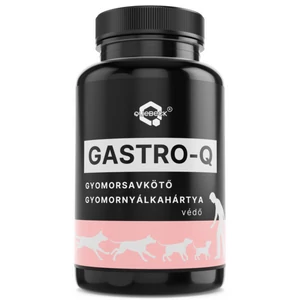 GASTRO-Q – Prášok na viazanie žalúdočnej kyseliny a ochranu žalúdočnej sliznice, 50 g