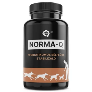 NORMA-Q probiotický stabilizátor črevnej mikroflóry, 50 g