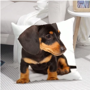 BASIC vankúš s motívom jazvečíka, 45 x 45 cm