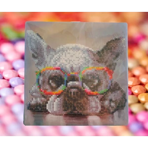 BASIC set na diamantové maľovanie, francúzsky buldog so slnečnými okuliarmi, 20 x 20 cm