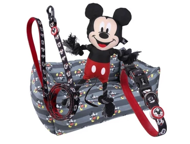 Licences termékcsomagok