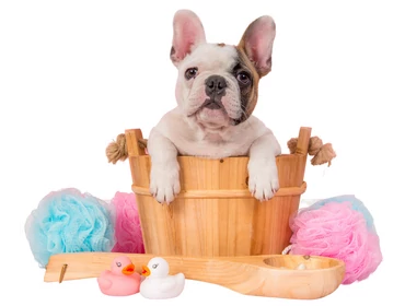 Psie kozmetické balíčky