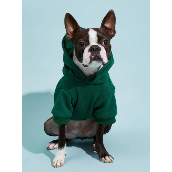 Sveter pre psa s kapucňou, smaragdovo zelený, XL