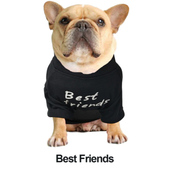 Bavlnený oblek pre psa "Best friends", čierny - XL