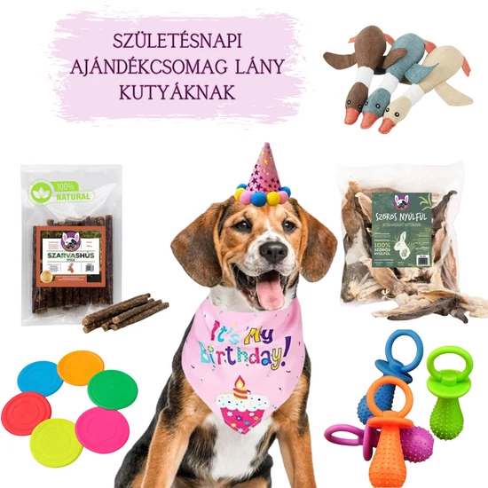 Darčekový balíček k narodeninám pre GIRL psov