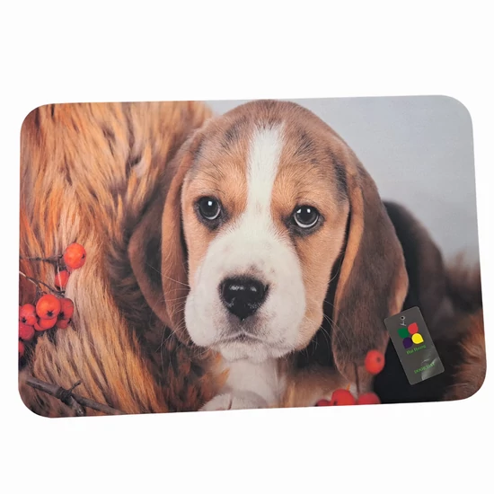 Jesenná gumová rohožka s motívom Beagle, 60 x 40 cm