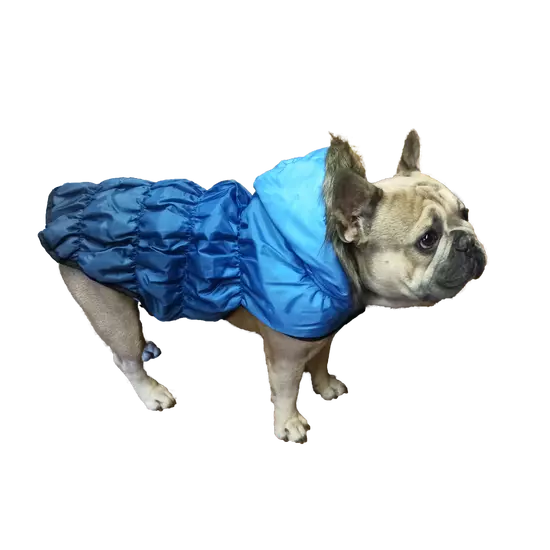 Zimný kabát pre psov s kožušinovou kapucňou, modrý, veľkosť L