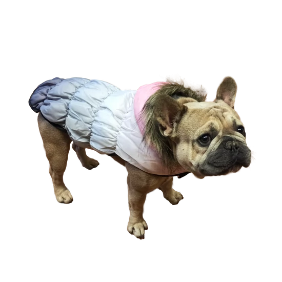 Zimná bunda pre psa so chlpatou kapucňou, ružová, veľkosť L