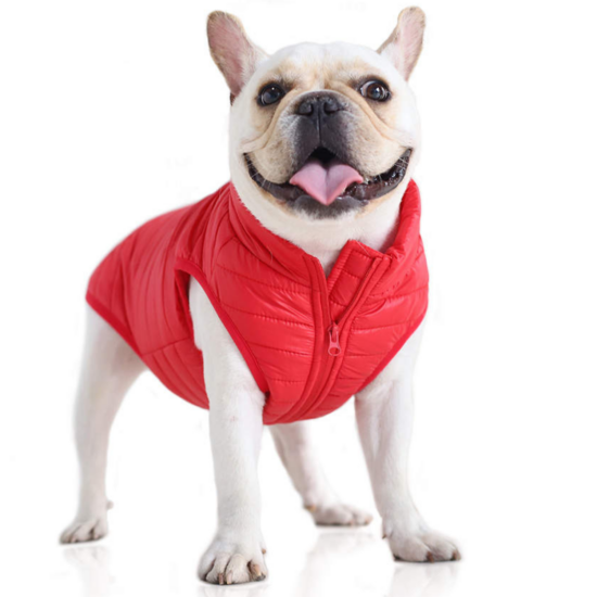 Vodeodolný kabát pre psa bez srsti, červený, XL (veľkosť francúzskeho buldočka)