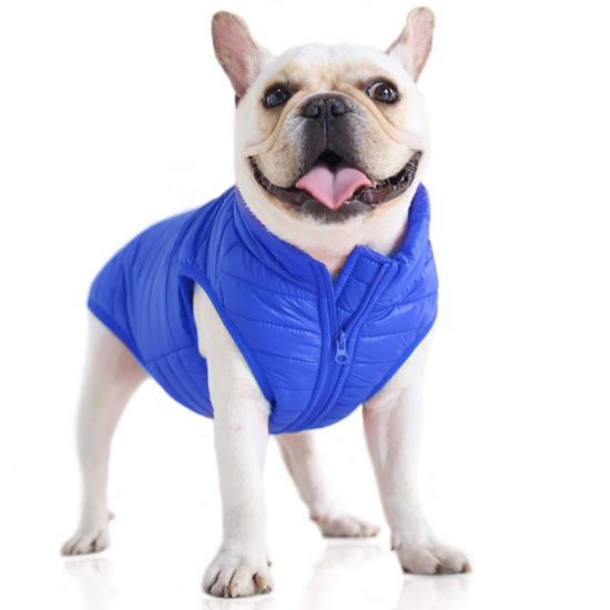 Vodeodolný kabát pre psa bez srsti, modrý, XL (veľkosť francúzskeho buldočka)