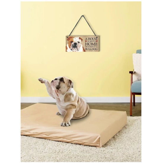 "Dom nie je domovom bez anglického buldoga" nástenná dekoratívna tabuľa
