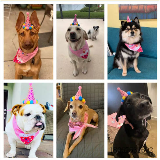 Súprava na psie narodeniny, dievčenská (ružová), šál + pick