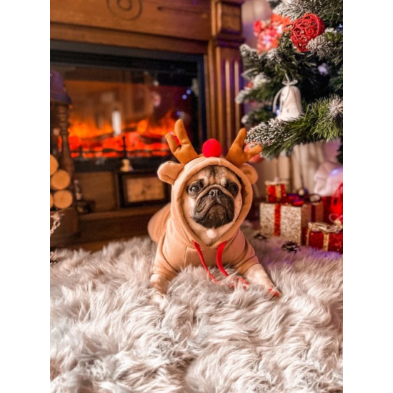 Vianočný sveter so sobom pre domáce zvieratá, XXL