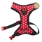 Postroj pre psa Disney MINNIE, XXS/XS