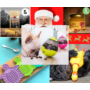 Obraz 1/6 - Vianočný darčekový balíček pre aktívnych psov
