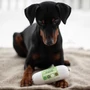 Obraz 6/6 - 100% zajacie mäso roláda 400 g, JR Pet Products