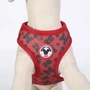 Obraz 5/20 - Obojstranný postroj pre psa DISNEY MICKEY, S/M