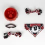 Obraz 2/7 - Darčekové balenie pre šteniatka Disney Minnie na privítanie