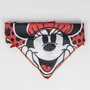 Obraz 4/7 - Darčekové balenie pre šteniatka Disney Minnie na privítanie