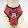 Obraz 7/10 - Disney MINNIE MOUSE Postroj pre psov, S/M