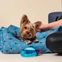 Obraz 7/7 - STITCH Dog pound