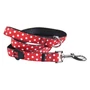 Obraz 6/10 - Disney MINNIE vodítko, S