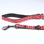 Obraz 5/10 - Disney MINNIE vodítko, S