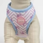 Obraz 4/9 - BARBIE psí postroj, XS/S