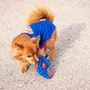 Obraz 16/19 - Hračka pre psa SUPERMAN frisbee na lane