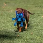 Obraz 4/9 - STITCH lanové psie hračky