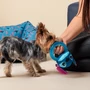 Obraz 5/8 - Hračka pre psov na čistenie zubov STITCH
