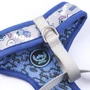 Obraz 10/20 - Obojstranný postroj pre psov STITCH, S/M