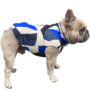 Obraz 1/10 - Free Dogs bélelt kutyakabát, kék, XL-es (francia bulldog méret)