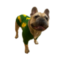 Obraz 2/5 - Zelený bavlnený sveter pre psa s potlačou dinosaurov, veľkosť S