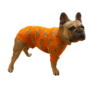 Obraz 2/4 - Bavlnený sveter pre psa so vzorom medvedíka, oranžový, veľkosť S