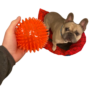 Obraz 2/3 - Kiharaphatatlan fogtisztító labda kutyáknak, 12 cm, piros