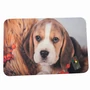 Obraz 1/2 - Jesenná gumová rohožka s motívom Beagle, 60 x 40 cm