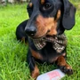 Obraz 3/3 - 100% kačacie mäso roláda 200 g, JR Pet Products