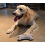 Obraz 4/4 - Prémiová hračka pre psov z pravej kože, tvar kosti, sivá farba