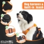 Obraz 2/6 - Postroj pre psa bez ťahania s integrovaným navíjacím vodítkom, oranžový, veľkosť L