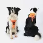 Obraz 3/6 - Postroj pre psa bez ťahania s integrovaným navíjacím vodítkom, oranžový, veľkosť L