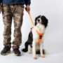 Obraz 4/6 - Postroj pre psa bez ťahania s integrovaným navíjacím vodítkom, oranžový, veľkosť L