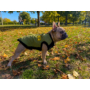 Obraz 2/4 - Vagány nepremokavá zimná vesta pre psov - zelená, veľkosť S