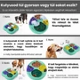 Obraz 5/6 - Interaktívna odmeňovacia hračka pre psov s IQ rozvíjajúcimi hádankami