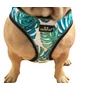 Obraz 1/4 - Postroj pre psov Hawaii comfort, veľkosť L