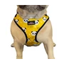 Obraz 1/5 - Panda komfortný postroj pre psy 5-10 kg, žltý